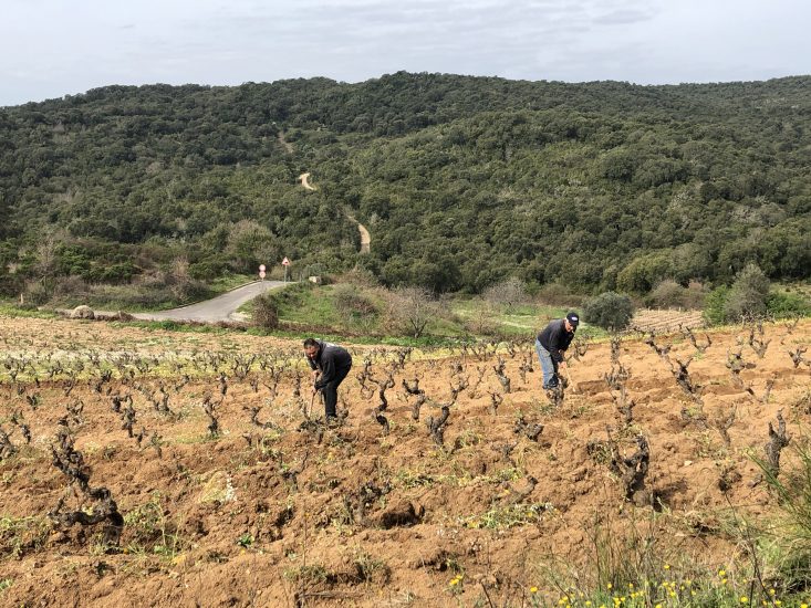 Bentu Luna, la cantina sarda di Gabriele Moratti