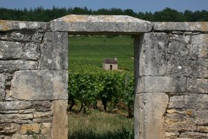 La Borgogna resiste al 2020: tiene il bilancio economico, e nel 2022 tornano i &ldquo;Grands Jours&rdquo;