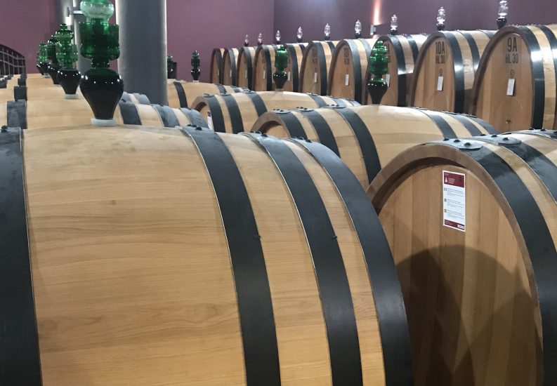 Le botti di Brunello della cantina Caprili
