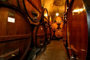 Nobile di Montepulciano, dal packaging alle botti, la sostenibilità del vino passa anche dal legno