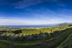 Nasce il Cammino del Bardolino, per scoprire a piedi il territorio del vino del Lago di Garda
