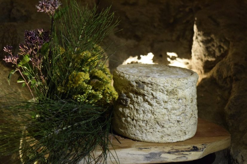 Cascina Badin, il sogno dalla Treccani alla terra