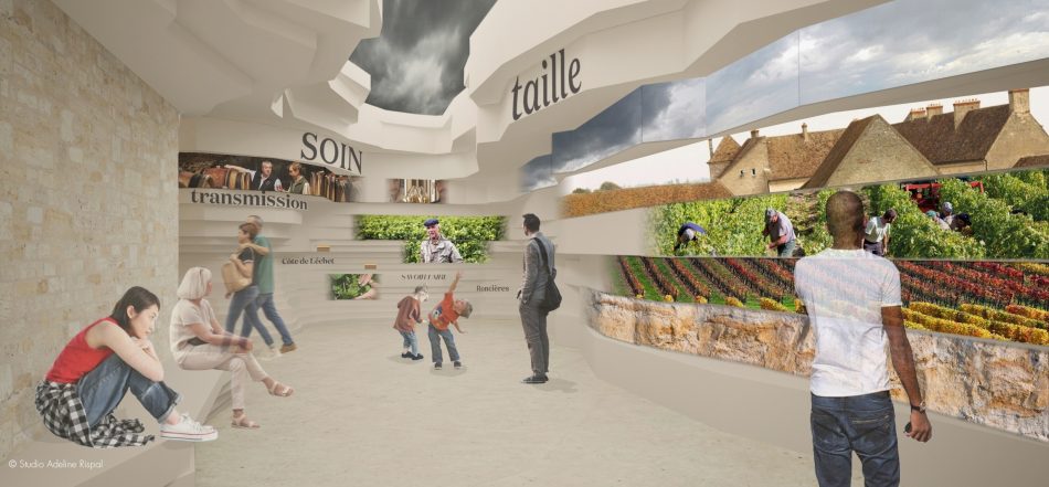 Le Cité des Vins et des Climats de Bourgogne saranno così ...