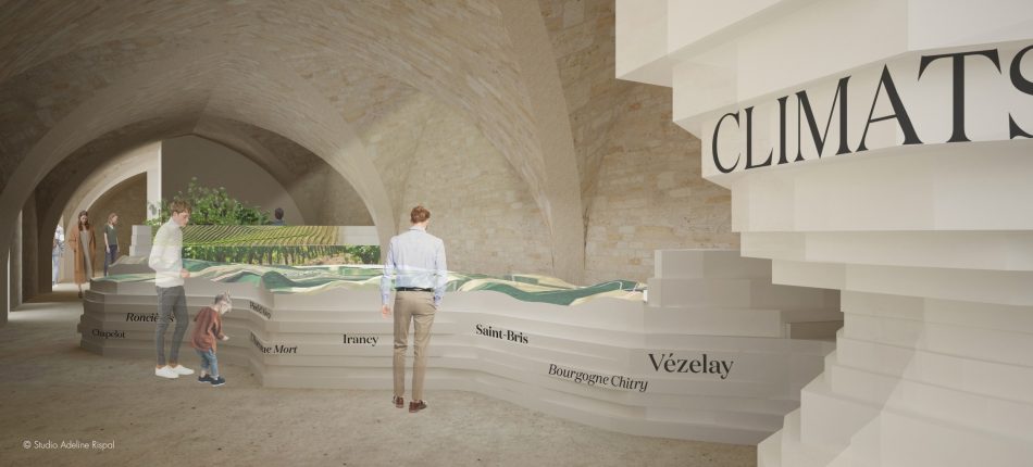 Le Cité des Vins et des Climats de Bourgogne saranno così ...