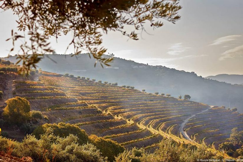 Il paesaggio vitato dell’Alto Douro