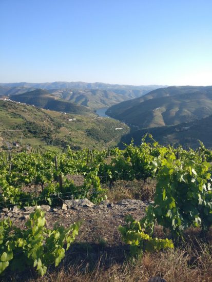 Il paesaggio vitato dell’Alto Douro