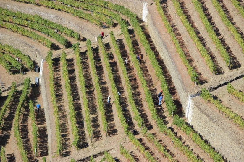 Il paesaggio vitato dell’Alto Douro