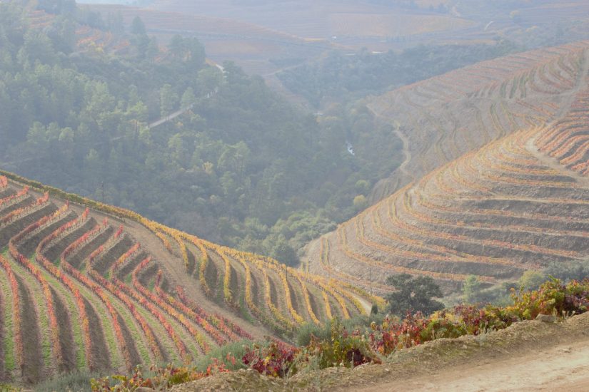 Il paesaggio vitato dell’Alto Douro