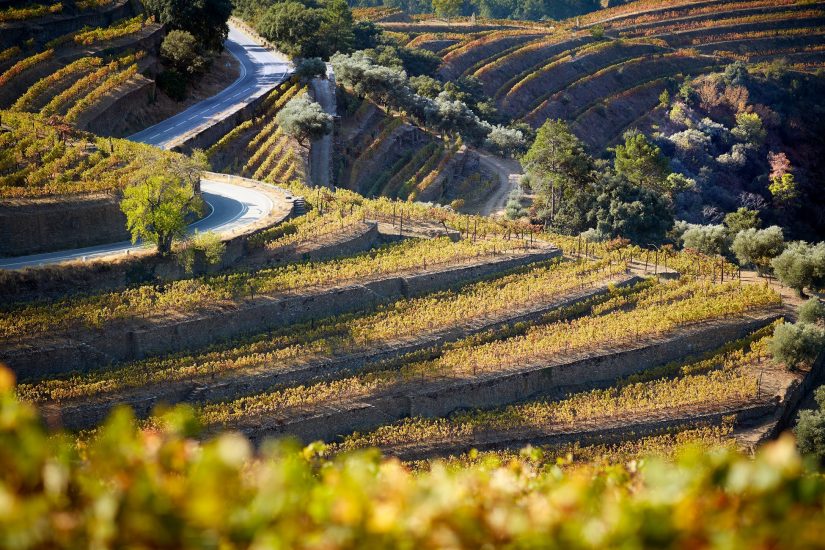 Il paesaggio vitato dell’Alto Douro