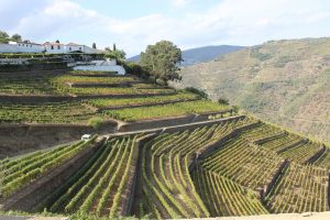 Il paesaggio vitato dell’Alto Douro, dove si incontrano natura e uomo, Patrimonio Unesco da 20 anni