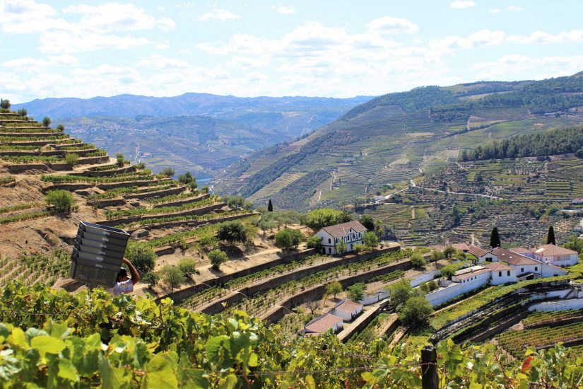 Il paesaggio vitato dell’Alto Douro