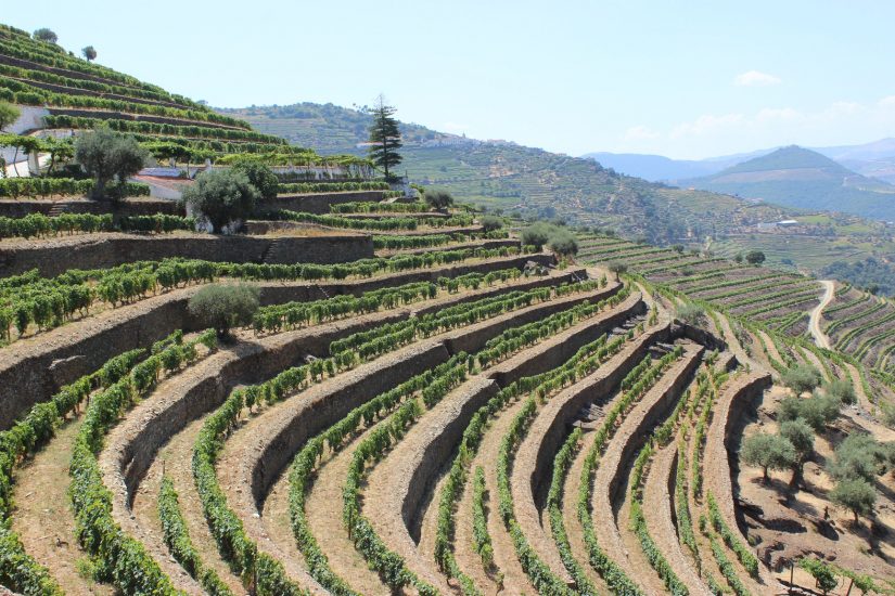 Il paesaggio vitato dell’Alto Douro