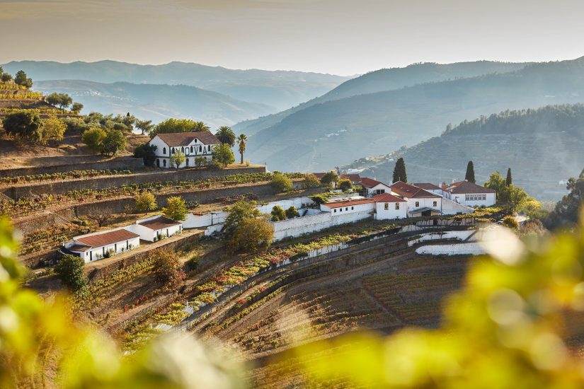 Il paesaggio vitato dell’Alto Douro