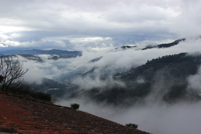 Il paesaggio vitato dell’Alto Douro