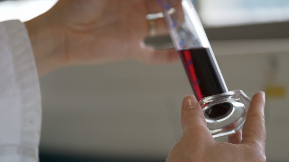 Come “lo spazio” influisce su vino e vite: le prime evidenze “enoiche” della missione Wise