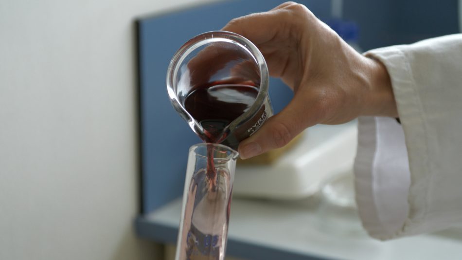 Come “lo spazio” influisce su vino e vite: le prime evidenze “enoiche” della missione Wise