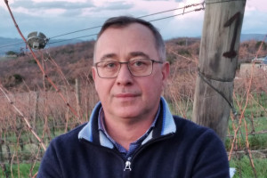 Sinergia con la Maremma, vicinanza con Montalcino, sostenibilità: il futuro del Montecucco