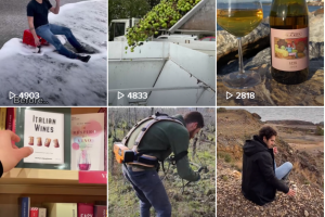 Il mondo del vino scopre TikTok: un linguaggio nuovo per parlare ai giovani