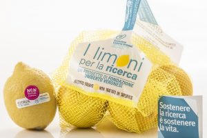 “I Limoni per la ricerca”, dalla Fondazione Veronesi 210.000 euro per la ricerca scientifica