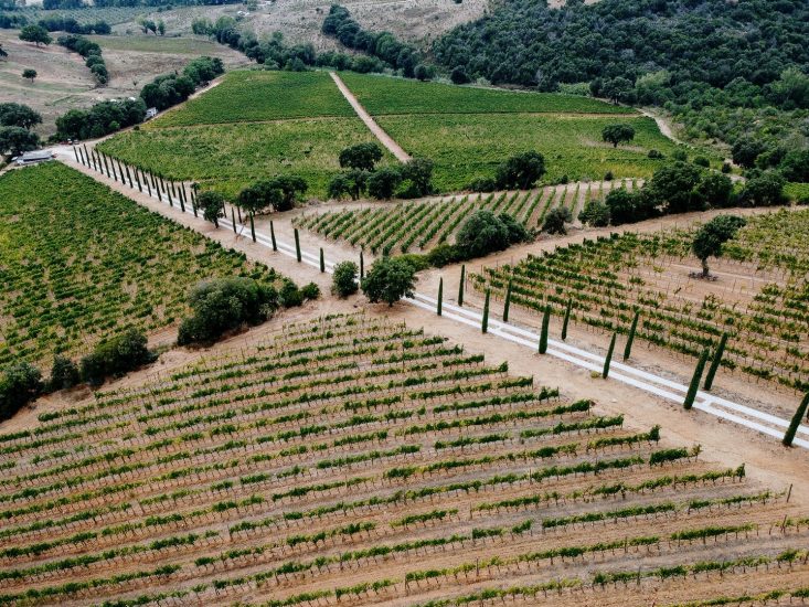 Il territorio del Morellino di Scansano