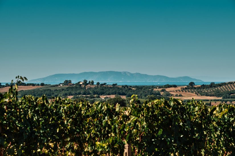Il territorio del Morellino di Scansano
