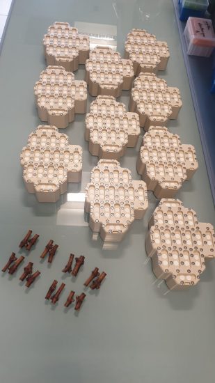 Come “lo spazio” influisce su vino e vite: le prime evidenze “enoiche” della missione Wise