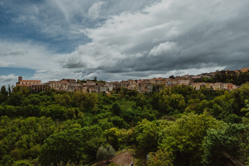 Scansano