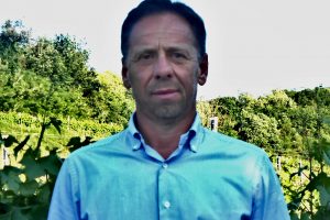 Il futuro del vino dei Colli Berici, con le vigne tra le Ville del Palladio