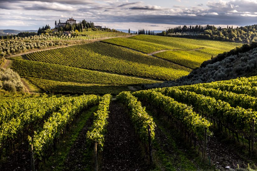 I vigneti di Tenuta Perano di Frescobaldi