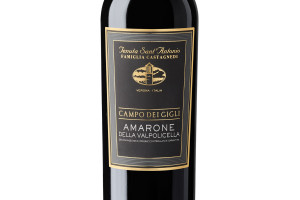 Tenuta Sant'Antonio, Docg Amarone della Valpolicella Campo dei Gigli 2016