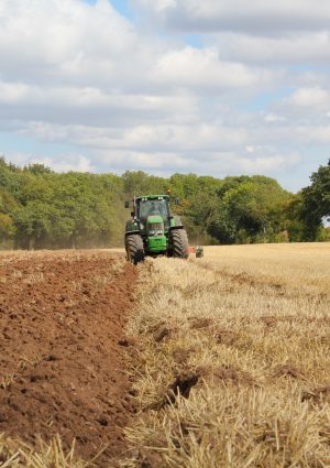 Un nuovo progetto per rafforzare la prevenzione delle frodi ai fondi agricoli dell&rsquo;Ue