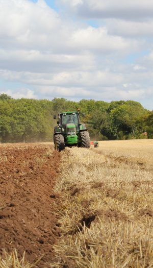 Un nuovo progetto per rafforzare la prevenzione delle frodi ai fondi agricoli dell&rsquo;Ue