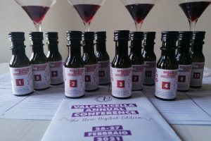 Amarone, Ripasso, Valpolicella: le sfide del territorio veronese e dei suoi celebri vini rossi