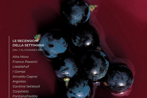 I Vini di WineNews - N. 144