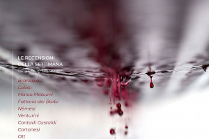 I Vini di WineNews - N. 145