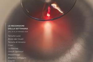 I Vini di WineNews - N. 146