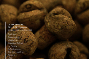 I Vini di WineNews - N. 147