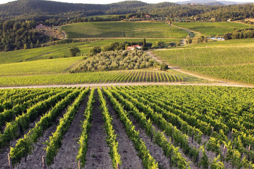 I vigneti di Nipozzano di Frescobaldi