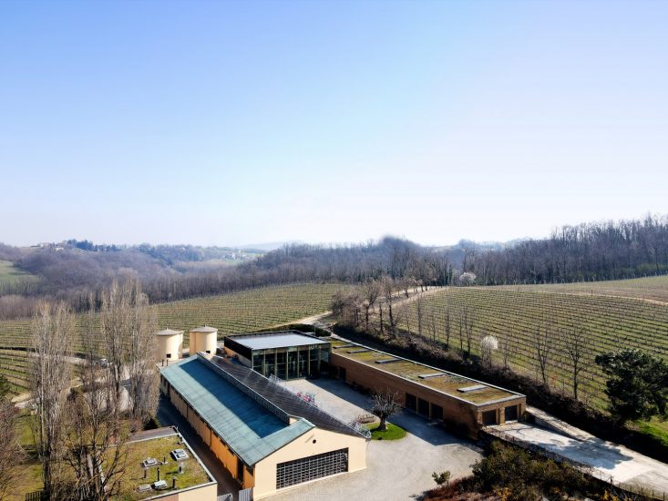 La Raia, griffe del Gavi