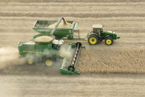 Agricoltura: nel quarto trimestre 2021, crollano ore lavorate (-4,2%) e valore aggiunto (-2,1%)