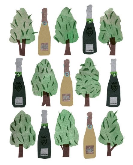 Bortolomiol porta la certificazione ambientale Epd (Environmental Product Declaration) nel vino