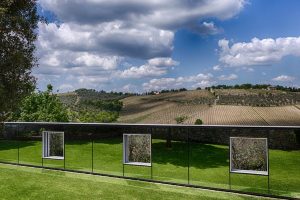 Chianti Classico, distretto del vino e dell’arte internazionale, museo a cielo aperto tra le vigne Chianti Classico, distretto del vino e dell’arte internazionale, museo a cielo aperto tra le vigne