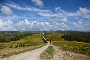 “Anteprime di Toscana” conferma le date (14-21 maggio), con gli eventi “singoli” in sicurezza