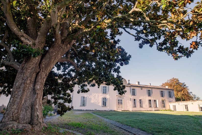 Château Bastor-Lamontagne, una delle realtà sotto l’egida di Famille Helfrich