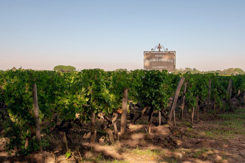 Château Bastor-Lamontagne, una delle realtà sotto l’egida di Famille Helfrich