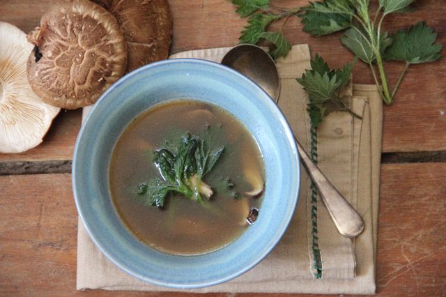 L’Earth Day: 10 ricette “green” per celebrare la Giornata della Terra