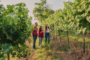 Il Governo Draghi punta sul turismo del vino per far ripartire l’Italia: “ora un piano strategico”