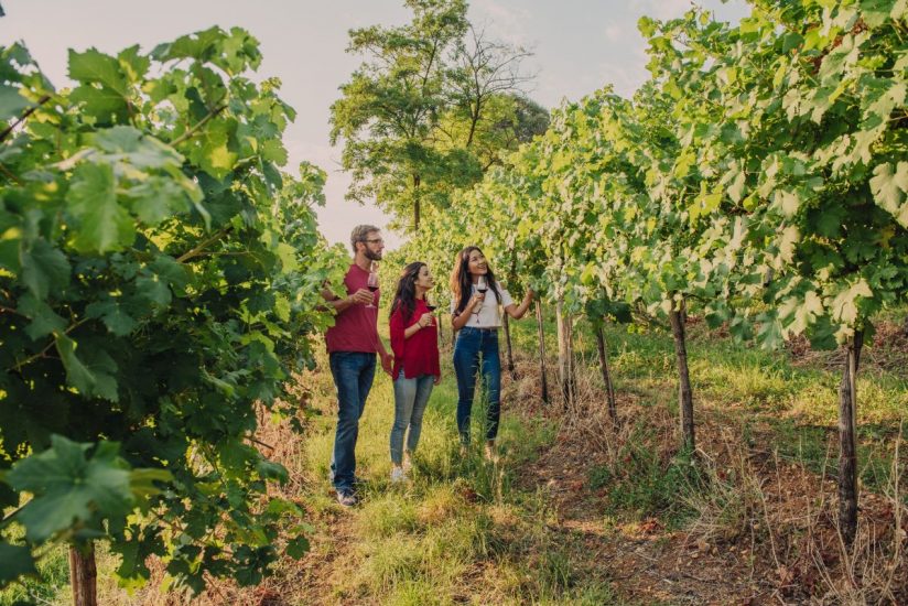 Il settore enoturistico dovrà rinnovarsi e affrontare nuove sfide