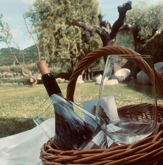 I pic nic di Feudi di San Gregorio