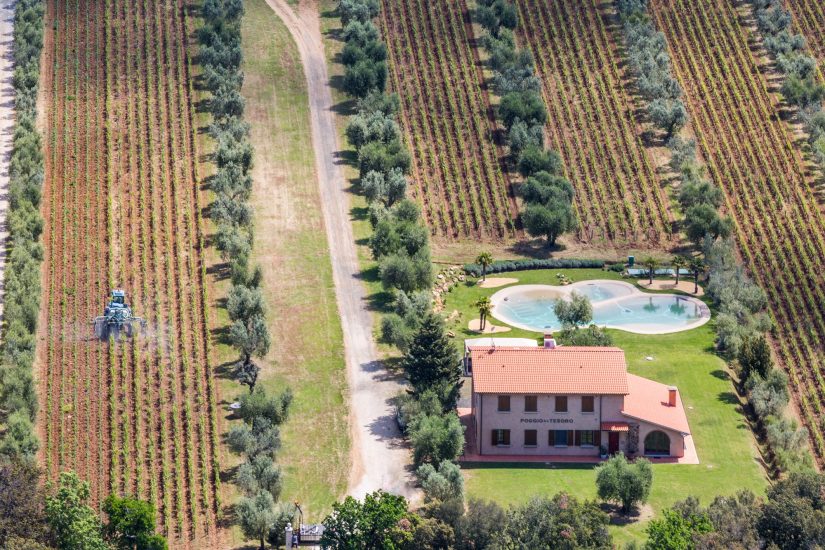 La tenuta Poggio al Tesoro di Allegrini a Bolgheri